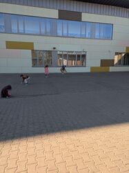 PXL_20250317_081929801