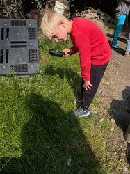 PXL_20250605_074402657