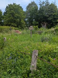 PXL_20250605_075714453