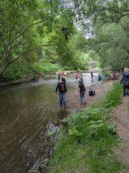 PXL_20250605_090235455