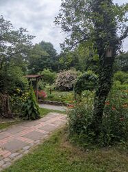 PXL_20250605_095957963