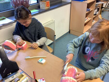 Klicken zum Vergrößern