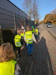 PXL_20251103_081742956