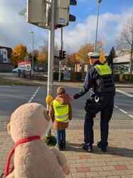 PXL_20251103_091003500.MP