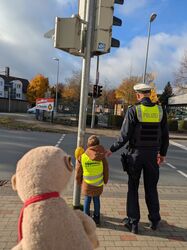 PXL_20251103_091005635.MP