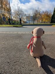 PXL_20251103_092912891