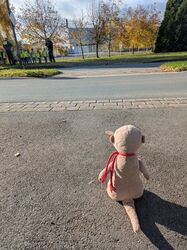 PXL_20251103_092914847